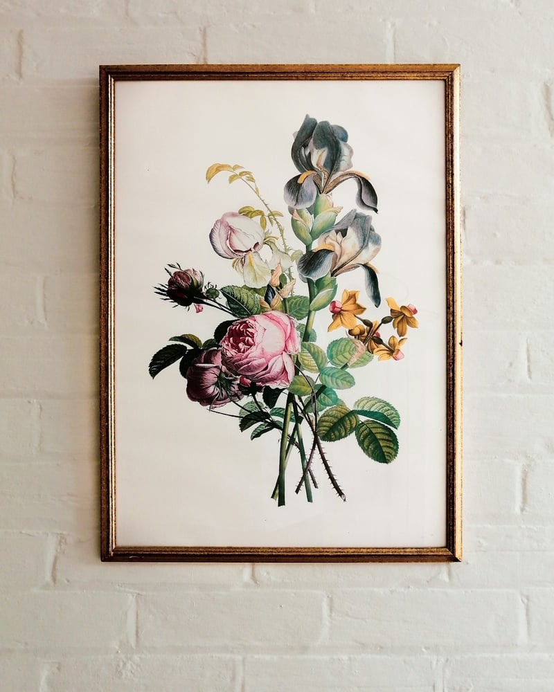 Framed Print